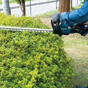 Makita DUH606Z Máy tỉa hàng rào dùng pin(600mm/bl)(18v) (không kèm pin sạc)