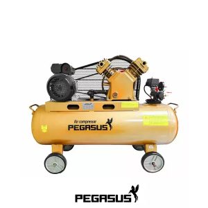 PE 120L 05 PE TM-V-0.25/12.5-120L-3HP (380V) Máy Nén Khí Pegasut