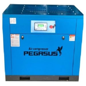 Máy Nén Khí Trục Vít Biến Tần (Tiết kiệm điện) Pegasut TMBT-10A