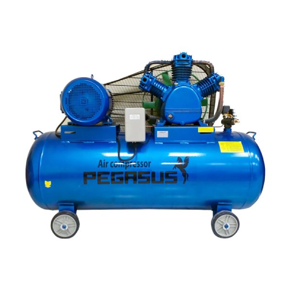 PE 120L 05 PE TM-V-0.25/12.5-120L-3HP (380V) Máy Nén Khí Pegasut