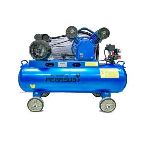 PE 120L 16 Máy Nén Khí PE TM-V-0.25/8-120L-3HP (Loại mới) -  Pegasut