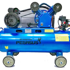 Pegasut PE 230L 08 Máy Nén Khí PE TM-W-0.67/8-230L-7.5HP