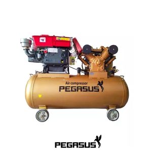 PE 230L 11 Máy Nén Khí PE TM-W-0.67/12.5-230L-7.5HP (D8) -  Pegasut