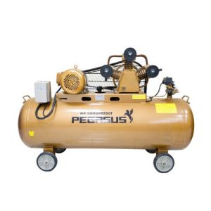 PE 330L 15 Máy Nén Khí PE TM-W-0.67/8-330L-7.5HP Đầu nổ D8 -  Pegasut