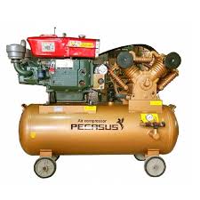 PE 500L 11 Máy Nén Khí PE TM-W-1.0/8-500L-10HP Đầu nổ D8 -  Pegasut