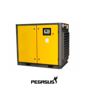 TMPM-100A Máy Nén Khí Trục Vít Pegasut